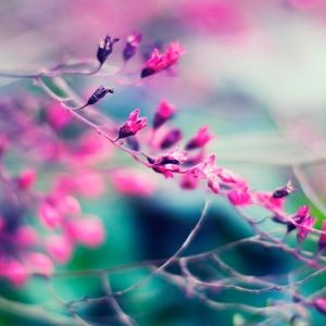 Meet your Posher, Jett